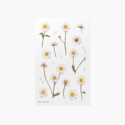 Appree Sticky Pressed Flower Sticker - Marguerite