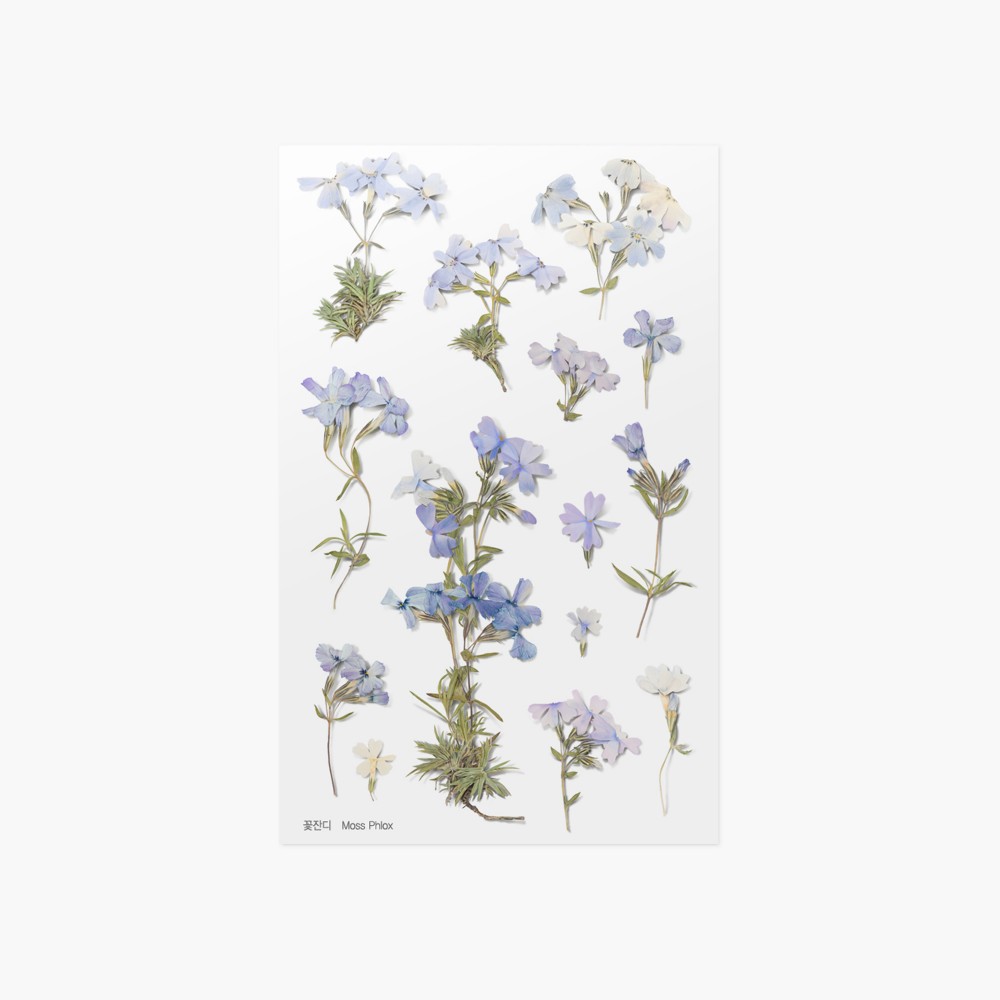 Appree Sticky Pressed Flower Sticker - Moss phlox